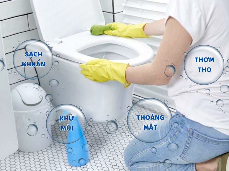 Vệ sinh bồn cầu thường xuyên